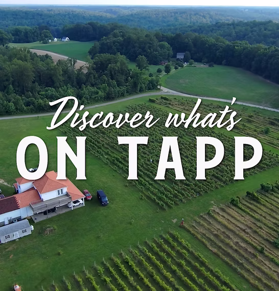 Visit Tappahannock project imagery